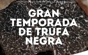 Feria dedicada a la trufa negra de Sarri&oacute;n, organizada el primer fin de semana de diciembre. Re&uacute;ne a truficultores, compradores y visitantes de todo el mundo.