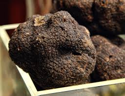 TRUFITURISMO AUT&Eacute;NTICO