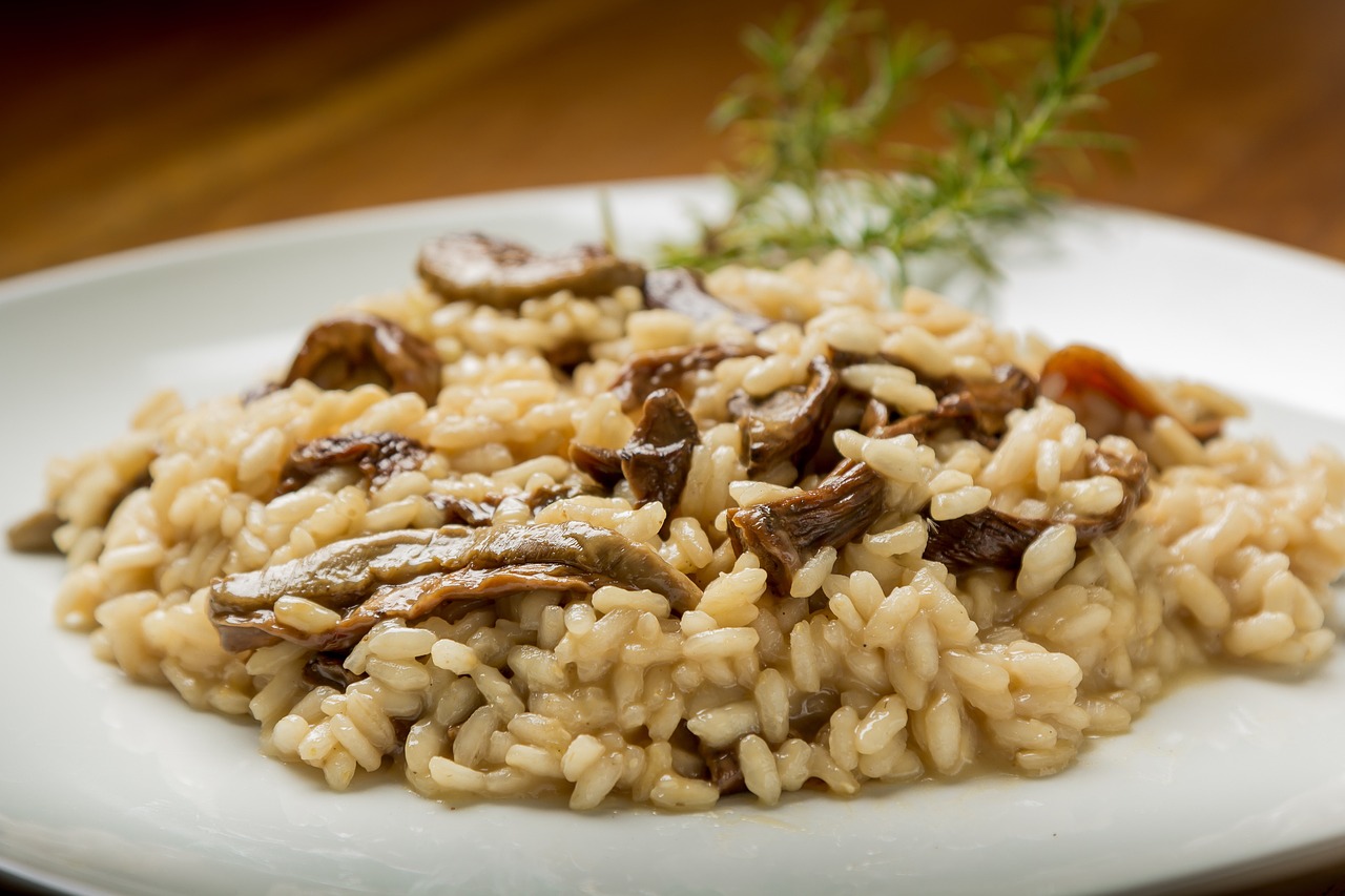 Our favorite recipe with dried mushrooms or rebollones