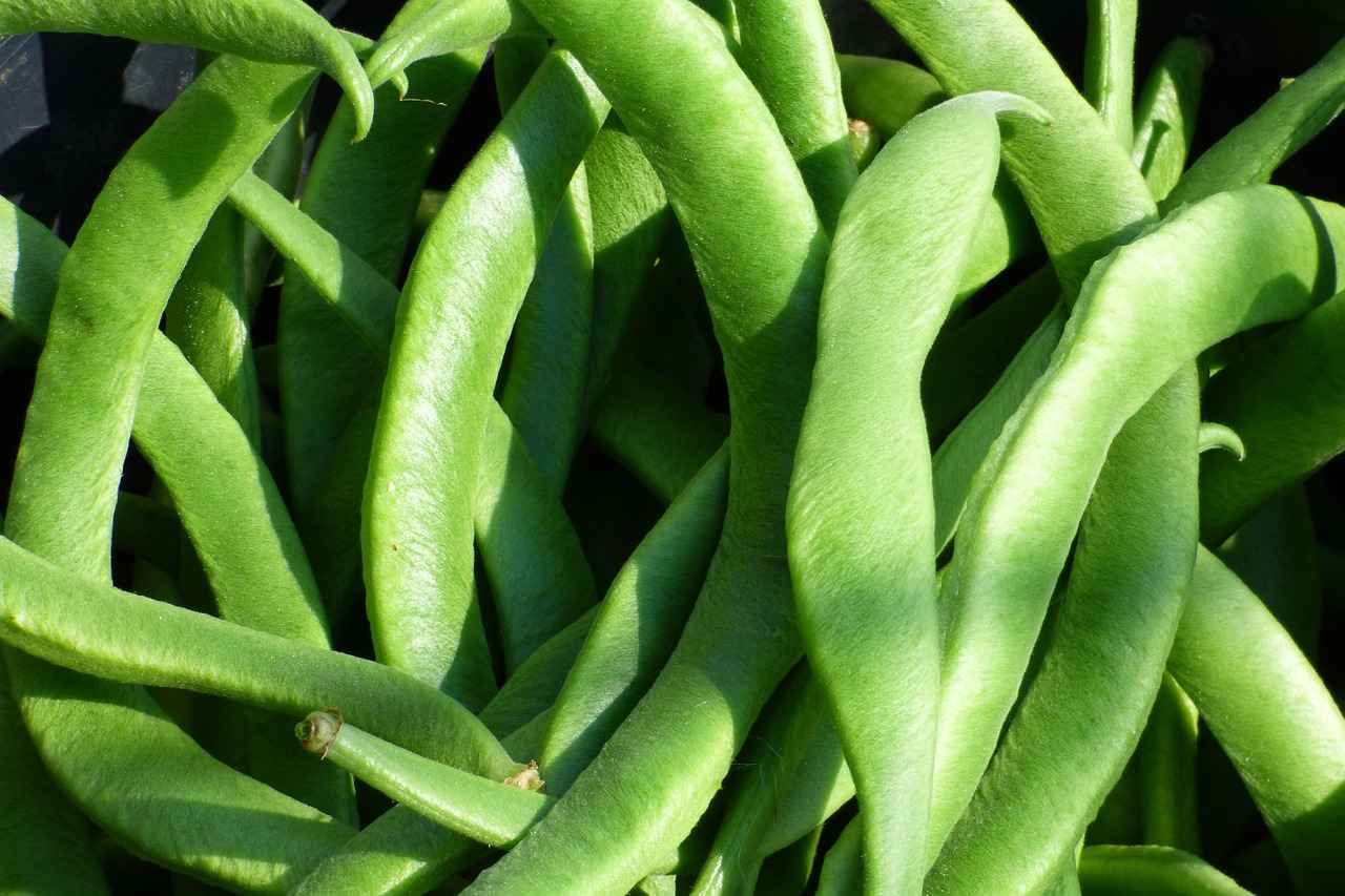 Green beans