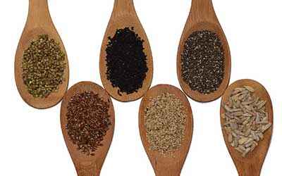 wooden spoons lined with different types of seeds