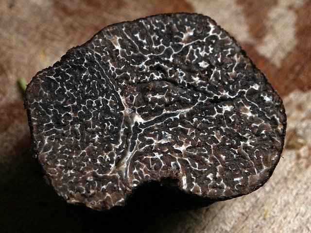 Tartufo nel suo succo TUBER MELANOSPORUM