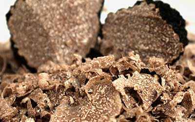 deux truffes coupées avec leurs grilles.