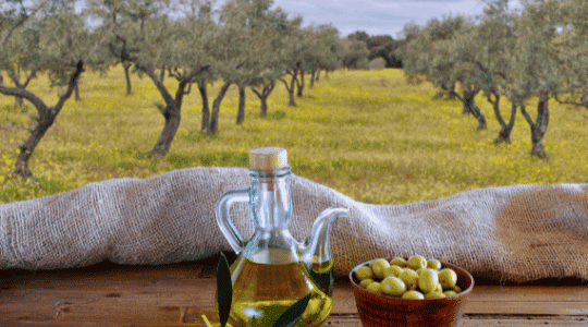 Bienfaits de l'huile d'olive