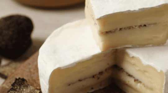 Formaggio al tartufo: come abbinarlo?