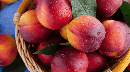 Frutta fresca dell'Aragona: frutta di stagione