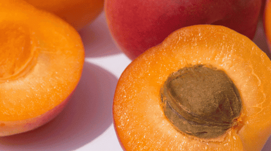 Apricot Properties