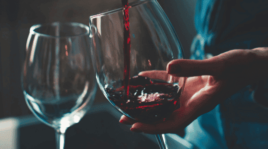 Merlot: Typer av druvor för att göra vin