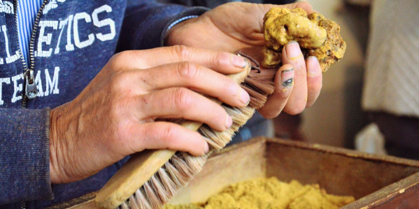 Ferias de trufa en España