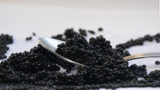 Alles Over Belugakaviaar