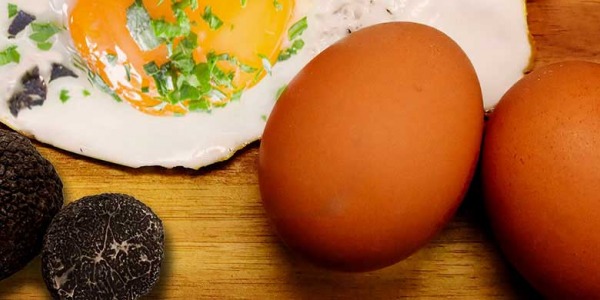 Eier mit schwarzem Trüffel